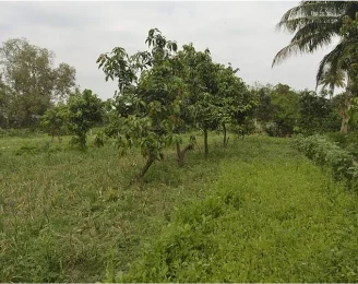 Farm Produce